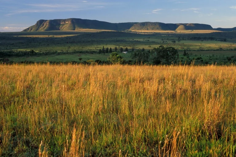 Goiás e Tocantins: disputa territorial na Chapada dos Veadeiros