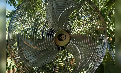 Homem é assassinado com eixo de ventilador em SC
