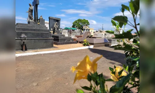 Falecimentos em Apucarana: confira as perdas da semana