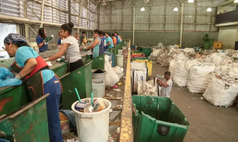 Fortalecimento de cooperativas é essencial para a economia circular