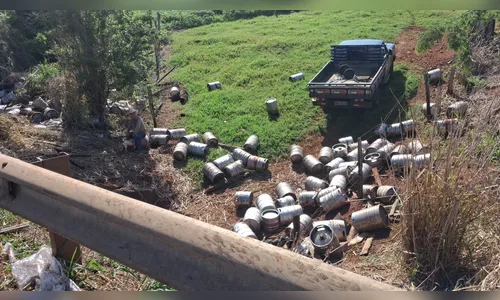 Perigos da PR-444: velocidade e falta de barreiras físicas