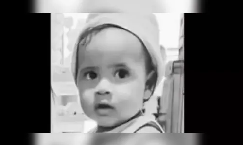 Tragédia em São Miguel do Guamá: bebê morre após ataque de abelhas