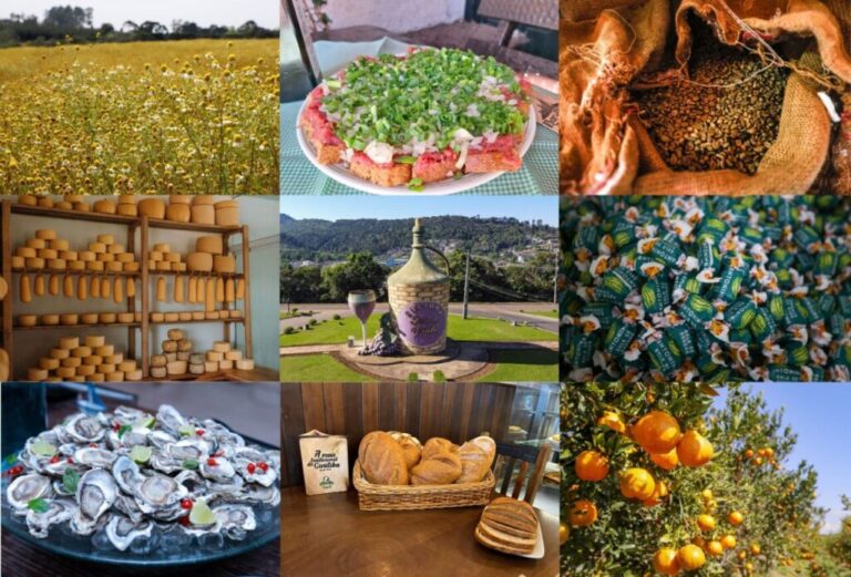 Gastronomia de origem é destaque no Mercado Municipal de Curitiba
