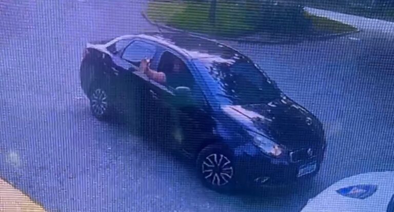 Stalker de Isis Valverde: imagens revelam perseguições anteriores