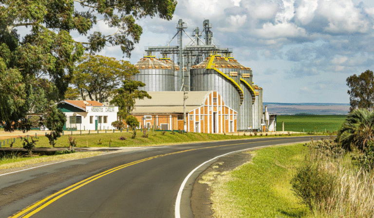 Agroindústrias no Paraná: motor de empregos e produção