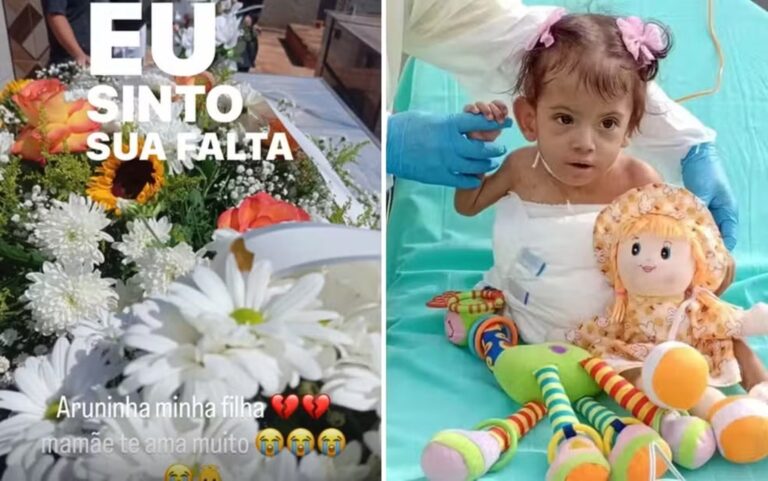 Morte da segunda siamesa em Goiás: homenagem da mãe comove