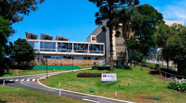 Suspensão da privatização da Celepar: decisão do TCE-PR