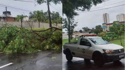 Chuvas em SP geram tragédia com morte e destruição