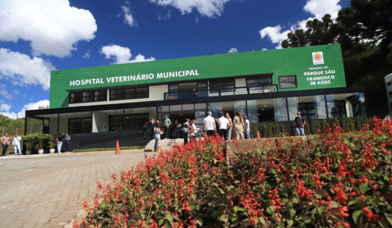 Curitiba investe em hospital veterinário gratuito para pets