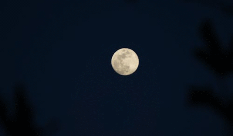 Fase da lua cheia nesta segunda-feira (08/12): saiba mais