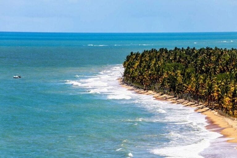 Aeroporto em Trancoso esgota capacidade para alta temporada