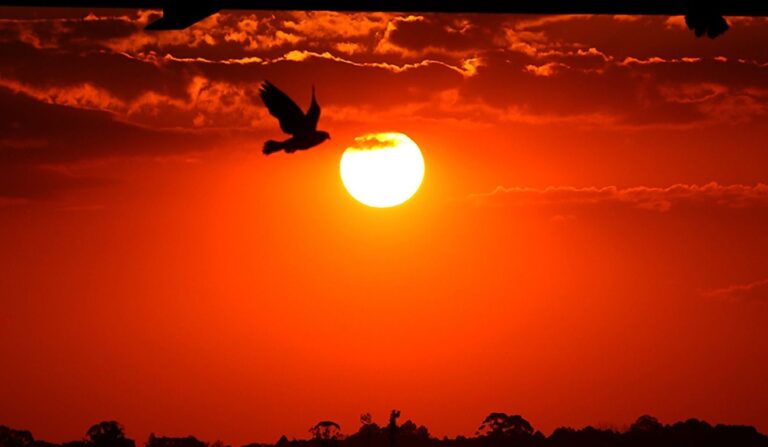Calor extremo em Guaraqueçaba: sensação térmica chega a 52°C
