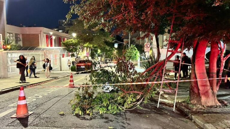 Homem morre após cair de árvore em Higienópolis durante vendaval