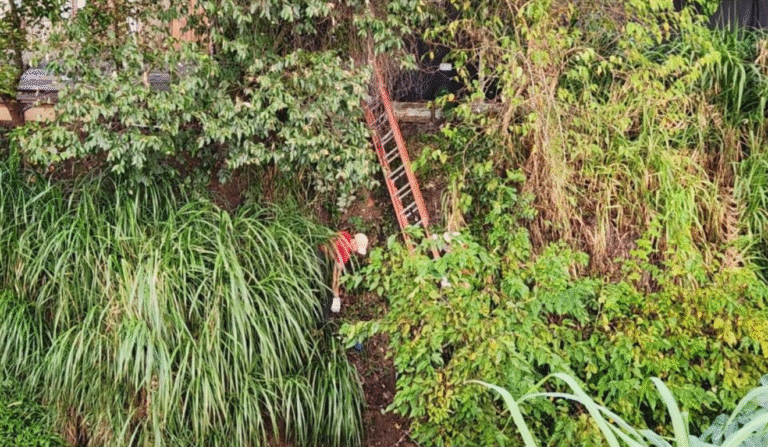 Jovem encontrado morto em Pinhais: detalhes do caso