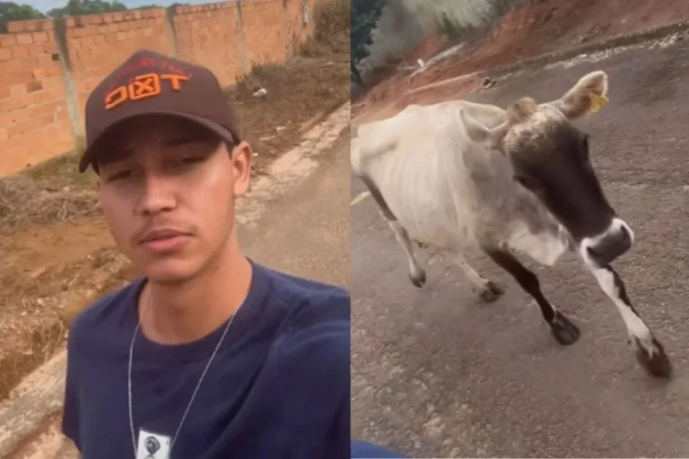 Jovem é seguido por vaca em Goiás e viraliza nas redes sociais