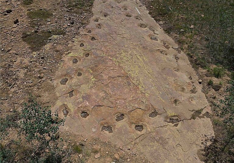 Descoberta de pegadas fossilizadas sugere dinossauro mancando