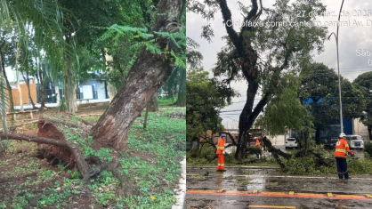 Temporal em São Paulo provoca danos e deixa ferido