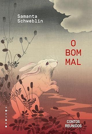 Livros de 2025 que vão te acompanhar em 2026