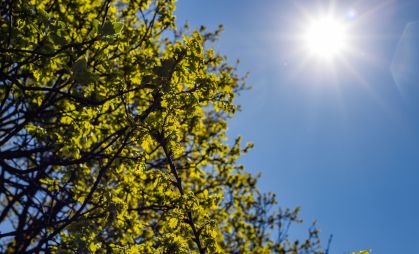 Solstício de verão: o dia mais longo de 2025 chegou
