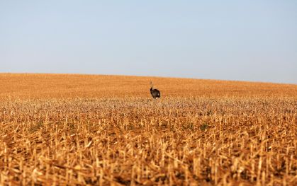 Paraguai alerta sobre prazo do acordo Mercosul-UE