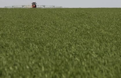 Crescimento expressivo nos pedidos de recuperação judicial no agro brasileiro