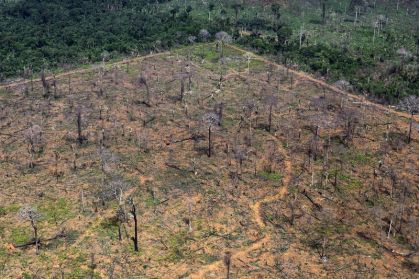 Avaliação negativa da atuação do governo no meio ambiente