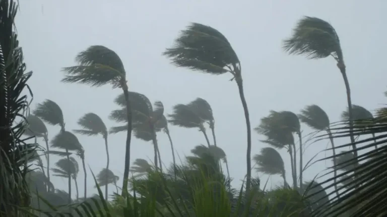 Calor extremo em SC: Natal com riscos de temporais e ventos fortes
