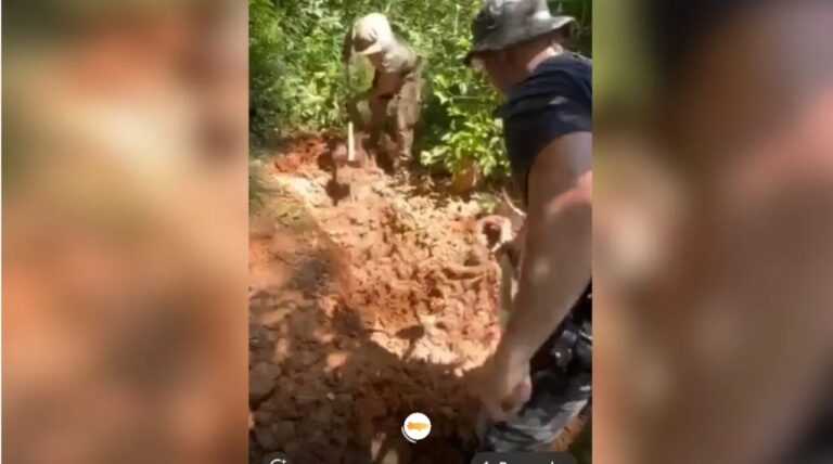 Cemitério clandestino em sc é revelado após descoberta de corpos em mata