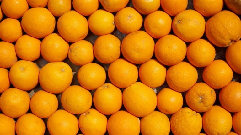 Edição genética transforma o potencial do pomelo nos cítricos