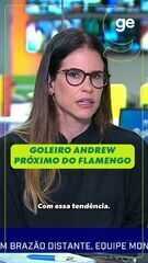 Andrew reforça Flamengo com desempenho superior em defesas