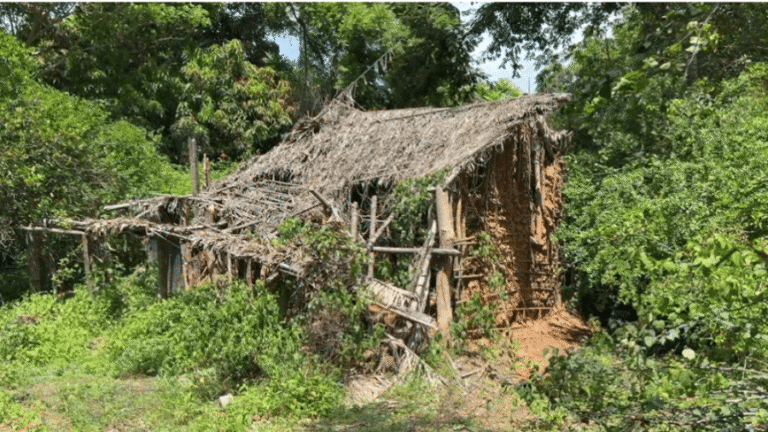 Crianças quilombolas desaparecidas em Bacabal passaram por casa abandonada