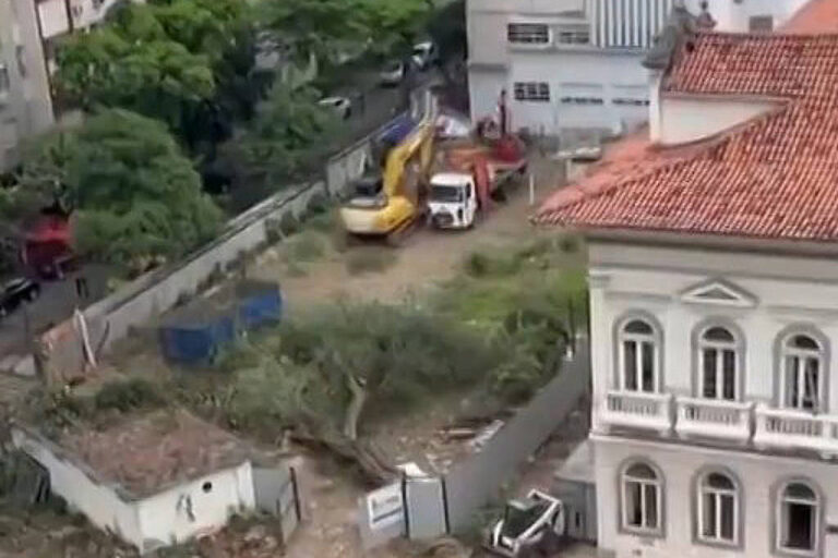 desmatamento no flamengo gera protestos e questionamentos sobre preservação