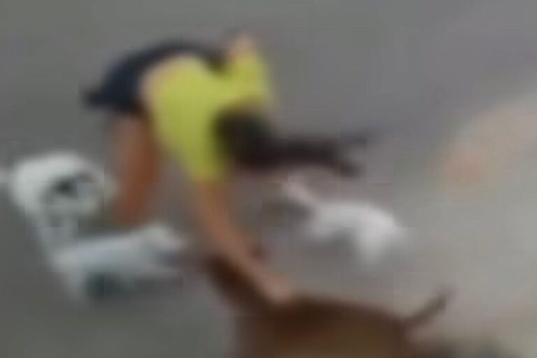 Mulher sofre agressão após pit-bull atacar seus cães no Ceará
