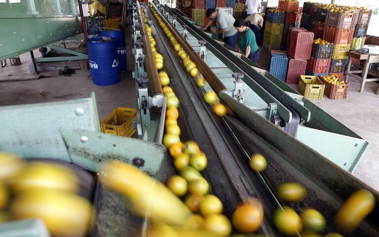 Produção agroindustrial registra queda em dezembro após alta