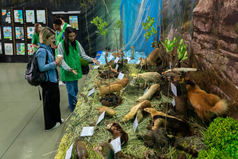 Exposição conhecer para aprender a preservar destaca educação ambiental em Ponta Grossa