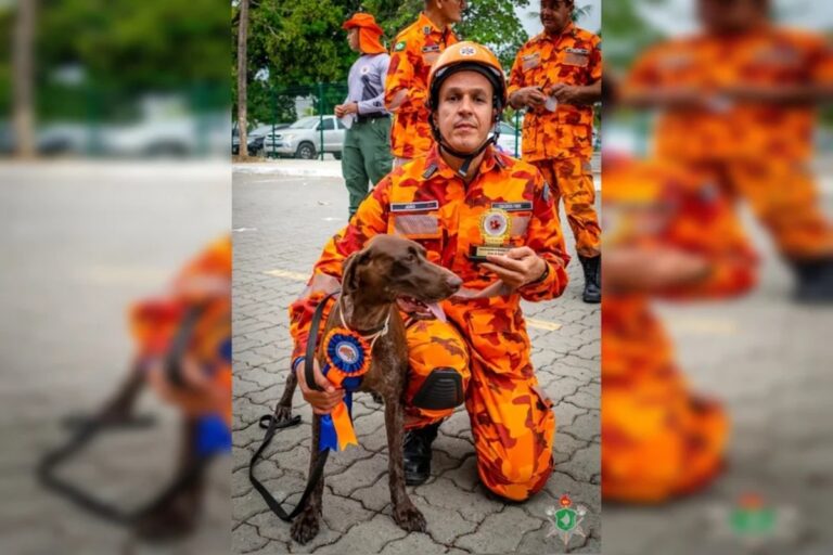 Cadela dos bombeiros morre durante busca a crianças desaparecidas em Bacabal