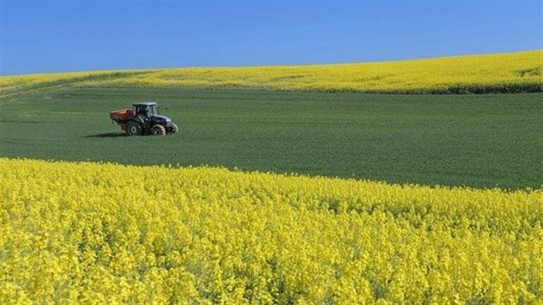São Paulo amplia infraestrutura rural com máquinas do Promaq