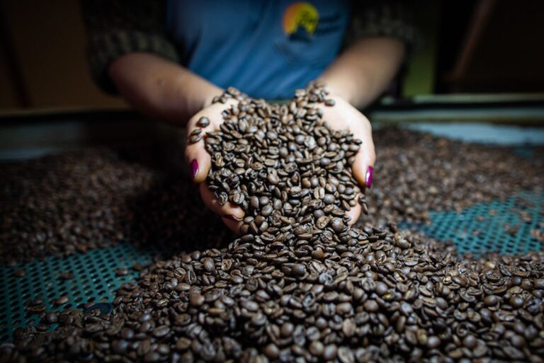 Café inicia o dia em queda na bolsa de Nova York com cenário incerto