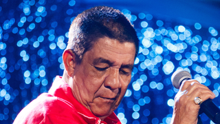 Nervo vago e síndrome vasovagal explicados por neurologista após diagnóstico de Ivete Sangalo