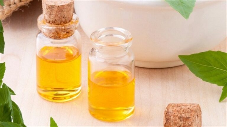 Óleos vegetais oscilam com expectativa por dados oficiais nos Estados Unidos