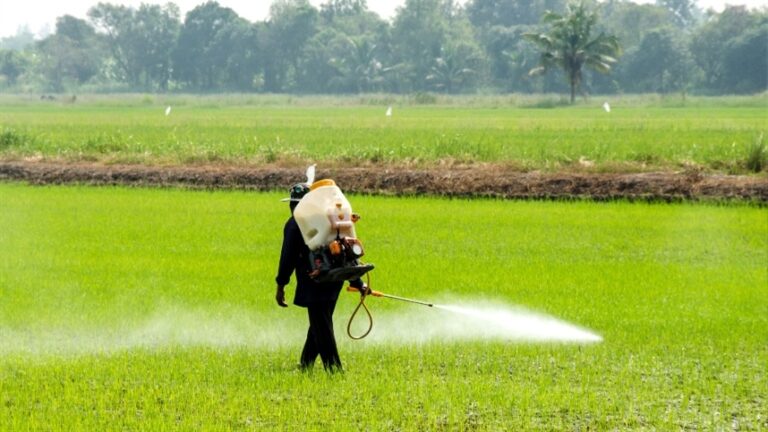 Programa nacional prioriza redução de agrotóxicos em 2026 e 2027
