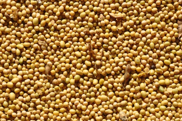 Grãos ampliam perdas na bolsa de Chicago seguindo dados do USDA