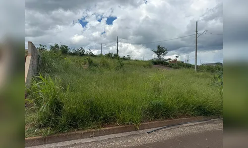 Prefeitura de Cambira intensifica limpeza de terrenos para combater riscos à saúde