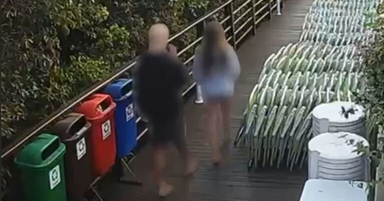 Caso cão Orelha: vídeo evidencia contradições em depoimento do adolescente suspeito