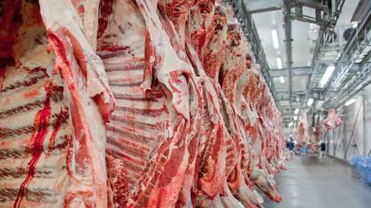 Exportações de Carne Bovina do Brasil Crescem Mesmo Com Tarifas