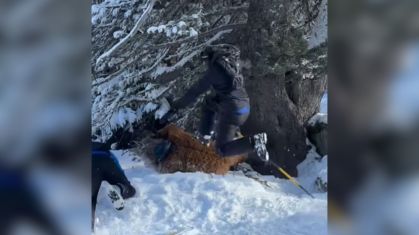 Brasileiro sofre agressão violenta em estação de esqui na França vestido de Chewbacca