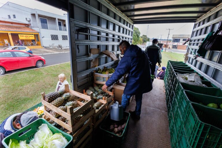 Feira verde retoma atividades em ponta grossa na próxima segunda-feira
