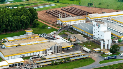 Grupo Piracanjuba expande para queijo fino ao comprar Basel Lácteos