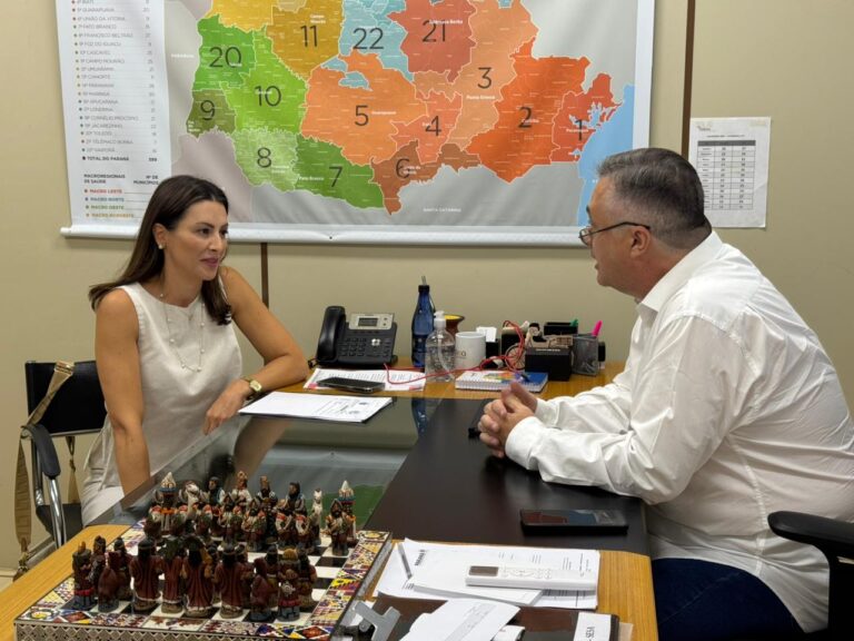 Mabel discute emendas para hospitais de Ponta Grossa com Beto Preto