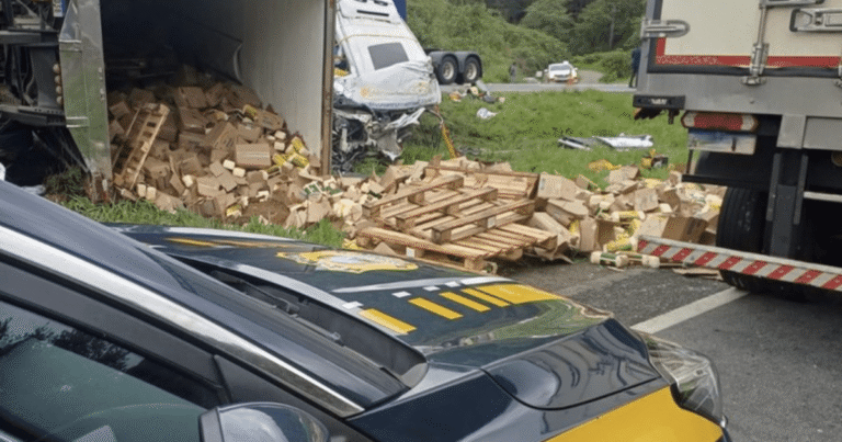 Três Presos por Roubo que Causou Acidente Fatal com Seis Mortes no Paraná